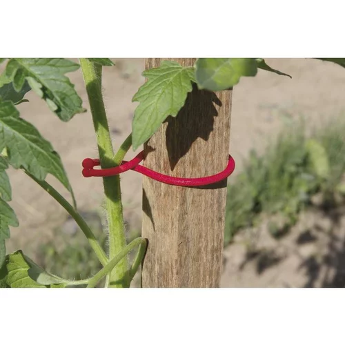 25 tomato clips rouge