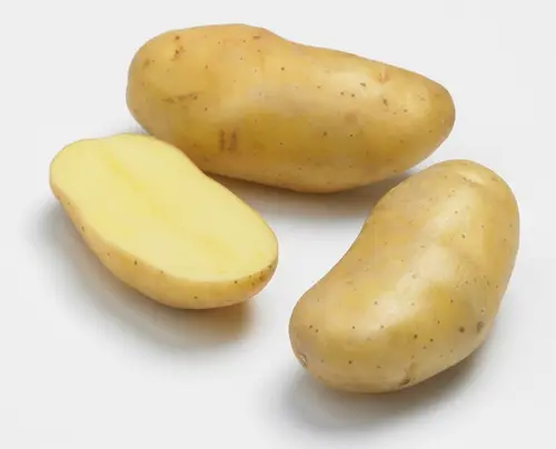 Sachet de pommes de terre delikatesse calibre 25/32 Clisson - 1,5 kg