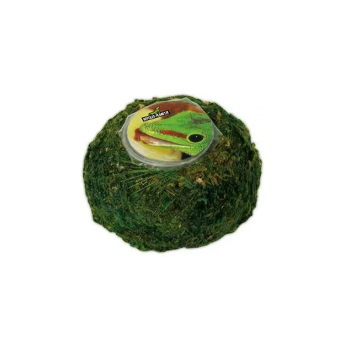 Support pour Vita Jelly coloris vert Reptile Planet Repti Moss Ball - 7,5 x 7,5 x 5 cm