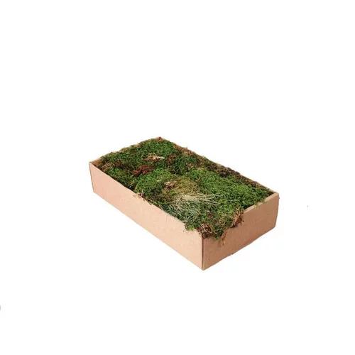Boite de mousse tapis - 100 gr