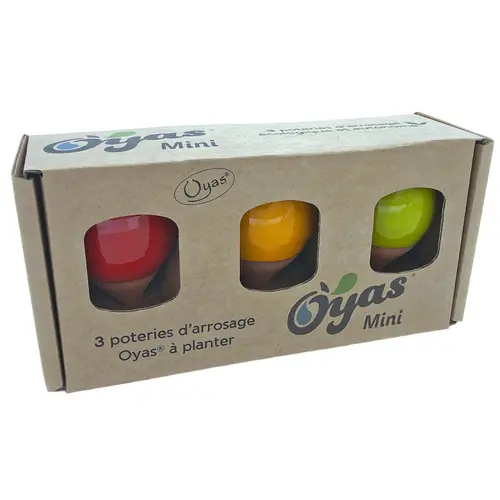 Oyas à planter mini coloris multicolore