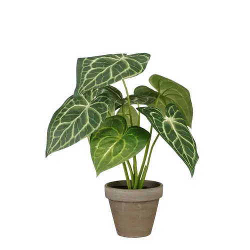 Plante artificielle Caladium vert en pot gris Stan - Ø 21 x H 28 cm