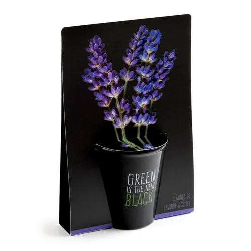 Pot en terre cuite black avec grains de lavande bio Radis & Capucine Green is the new black