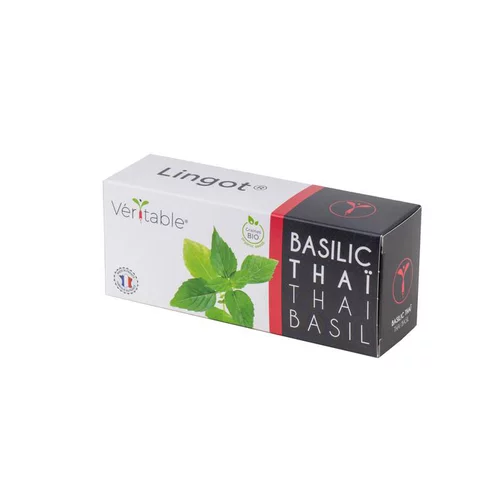 Lingot Basilic Thaï Bio