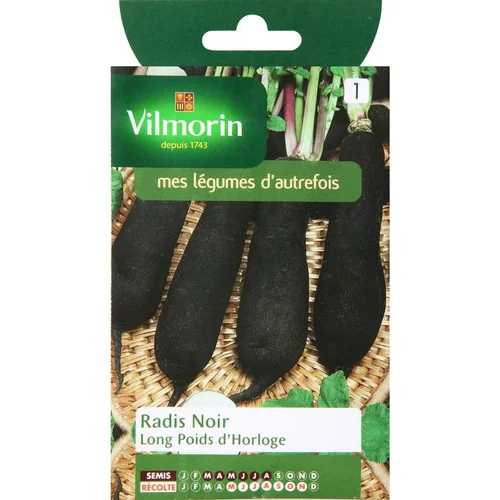 Graines de radis noir long poids horloge Vilmorin - graines à semer