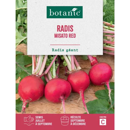 Graines de radis misato red botanic® - graines à semer
