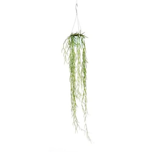 Hoya Linearis suspension Ø12xH80 cm