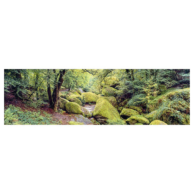Brise vue paysage forêt HUELGOAT – H.1.5 x L.5 m, 100% occultant, Made in France par Scenolia + kit de fixation offert
