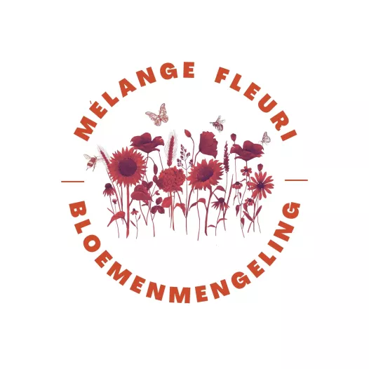 Mon jardin de fleurs vivaces mellifères biologiques
