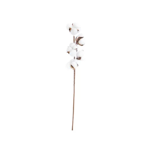 Coton branche H49 cm