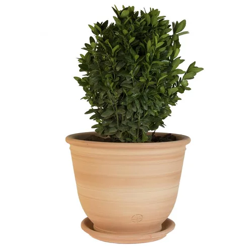 Pot Campanas lisse en terre cuite - D30x H28