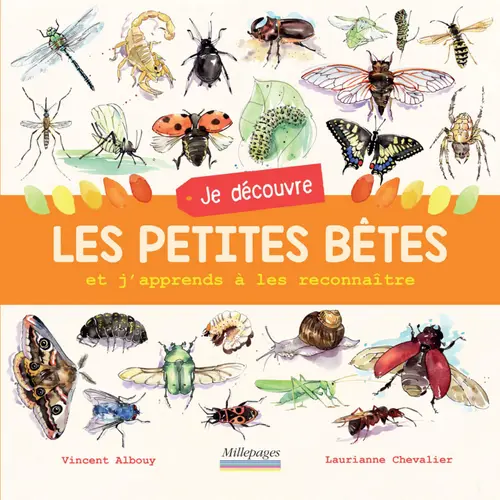 Livre "Je découvre les petites bêtes" Éditions Millepages