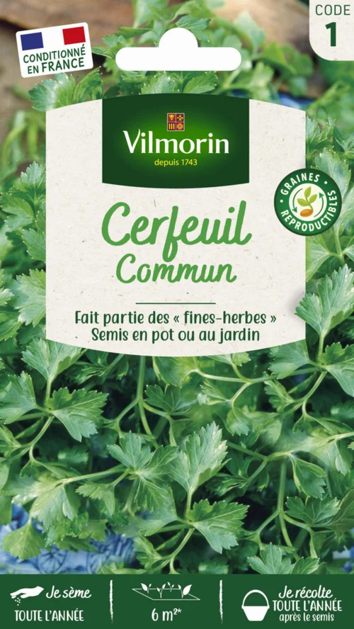 Cerfeuil commun Vilmorin - graines à semer
