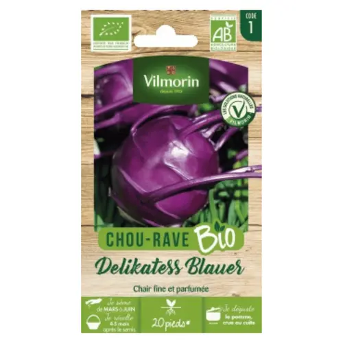 Chou-Rave Delikatess Blauer Bio Vilmorin - graines à semer