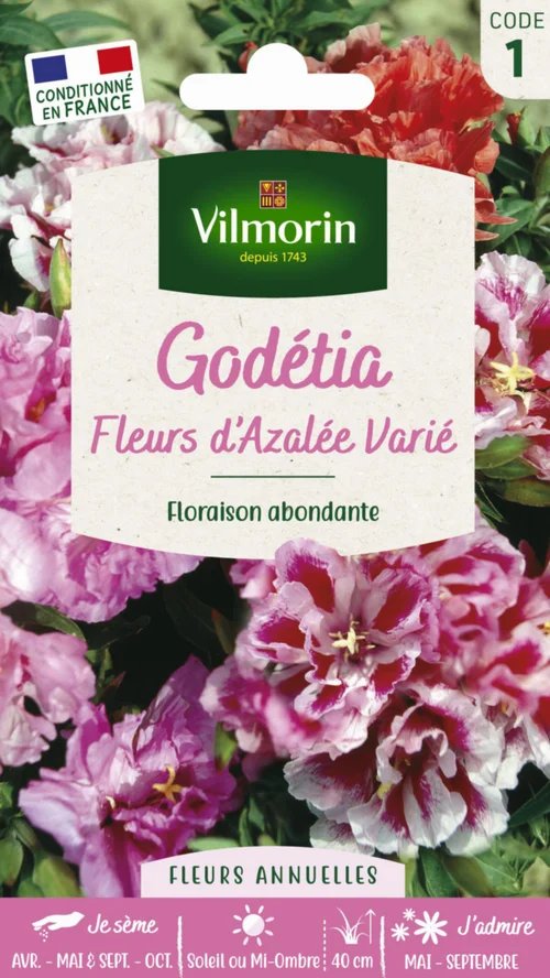 Graines de Godetia Fleurs d’Azalée varié Vilmorin - graines à semer