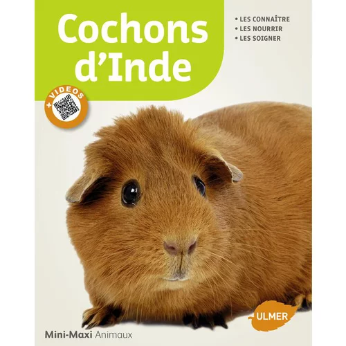 Cochons d'Inde 65 pages 17 vidéos Éditions Eugen ULMER
