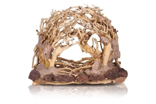 Décor pour aquarium coloris marron Aquavie Forêt Nature R - Taille MM