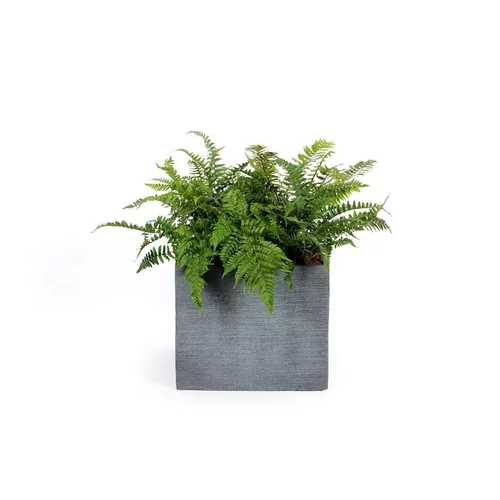 Pot carré bas Stream S/4 anthracite H.38 cm