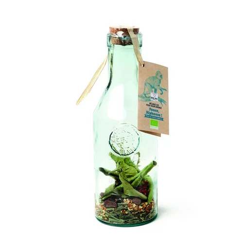 Mélange cacao-cannelle pour rhum arrangé « Fonce Alphonse » 45 gr