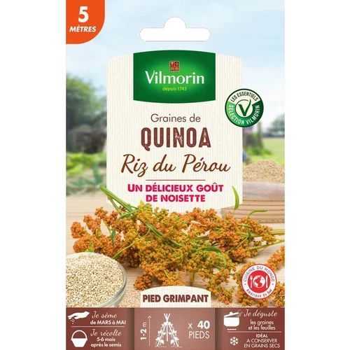Graines de quinoa riz du Pérou Vilmorin - graines à semer