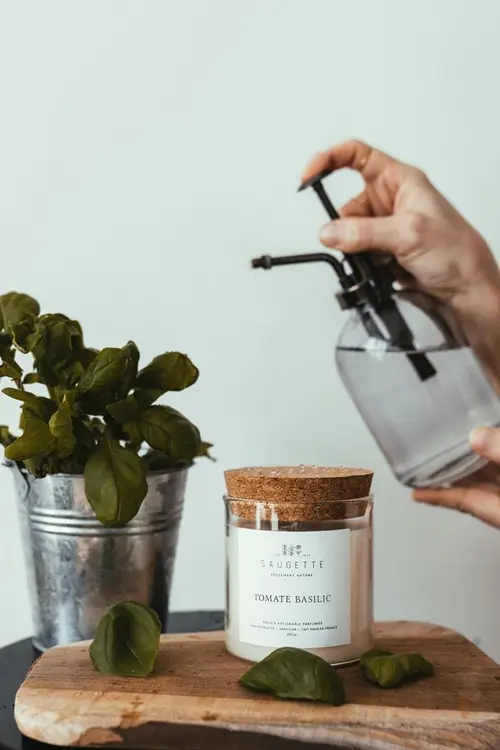 Bougie parfumée avec pochon Saugettes Les Essentielles senteur tomate Basilic - 100 g