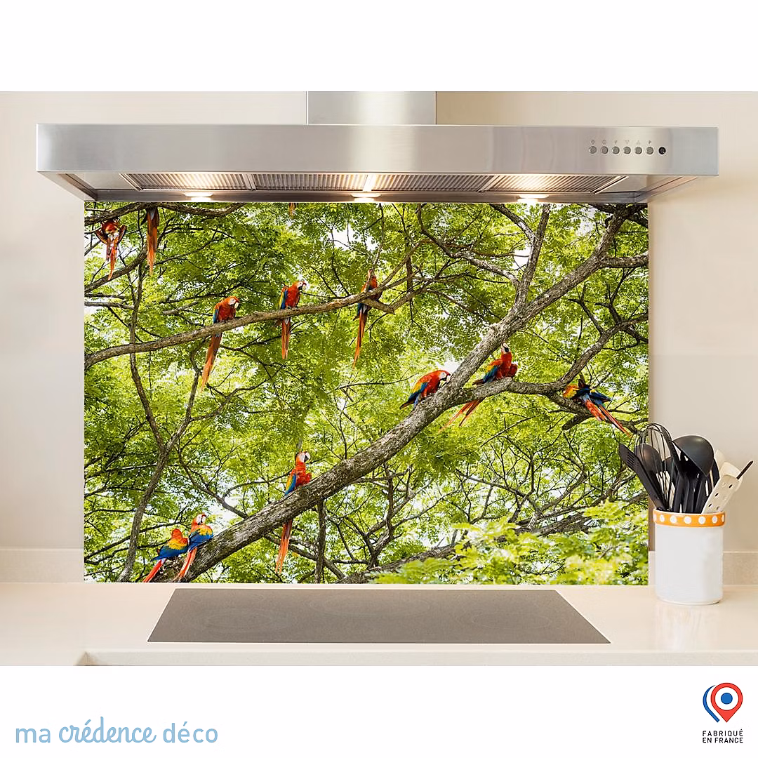 Crédence cuisine fond de hotte Perroquets | – Costa – Lrica x H Alu composite – MaCrédenceDéco