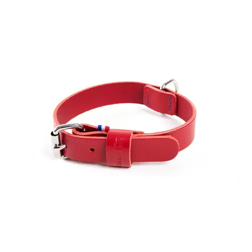 Collier pour chien en cuir coloris rouge cousu Martin Sellier 499 - Taille 30/60