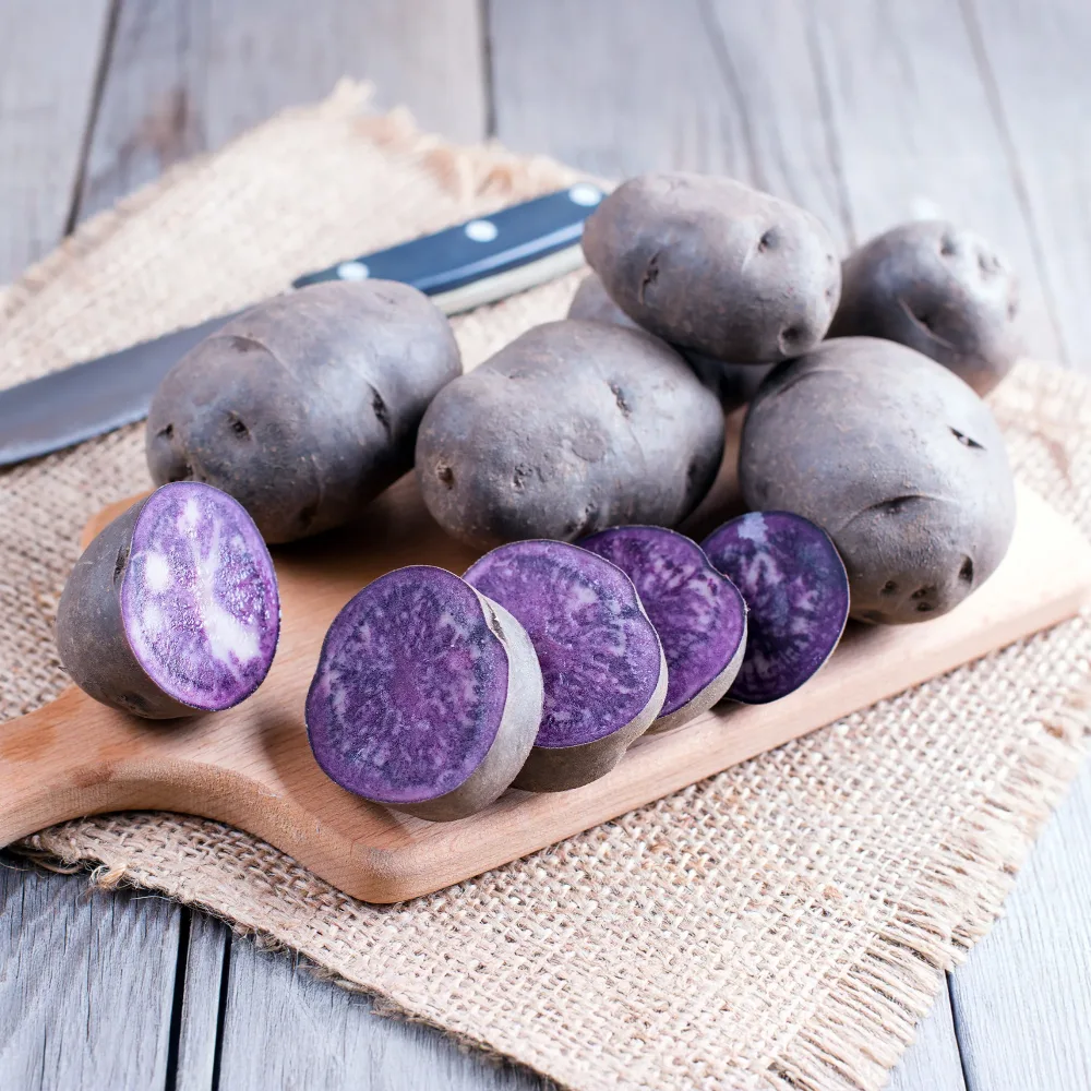 10 Pommes de terre Bleue d'Artois ® - Bleue de la Manche Solanum tuberosum bleue d'artois ® (bleue de la man