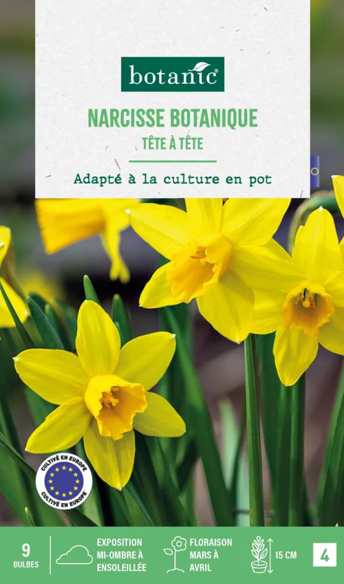Narcisse botanic® - 9 bulbes