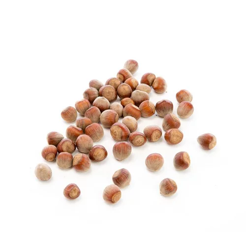 Noisette bio de France - Prix au kg