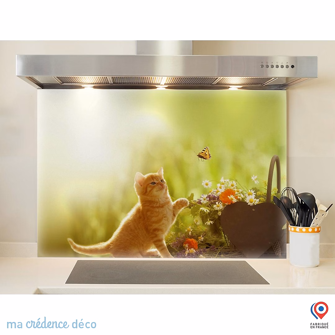 Crédence cuisine fond de hotte Chaton et papillon – Verre trempé | L 90 cm x H 70 cm | MaCrédenceDéco