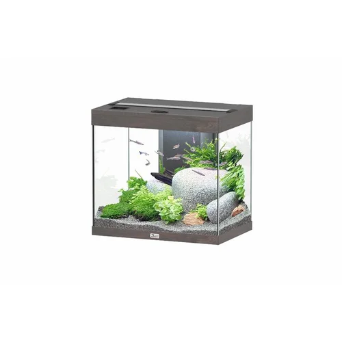 Aquarium 109 litres équipé LED 2.0 Aquatlantis Splendid chêne foncé - 60 x 40 x 56 cm