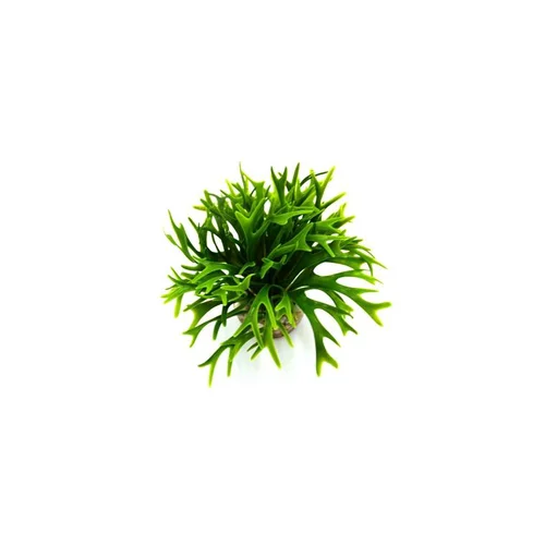 Fond vert en plastique petit modèle 14 cm