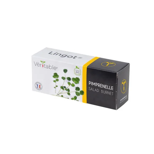 Lingot® Pimprenelle bio Véritable®