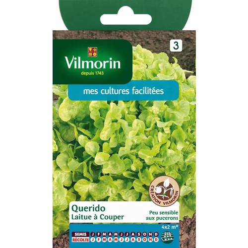 Graines de laitue querido Vilmorin - graines à semer
