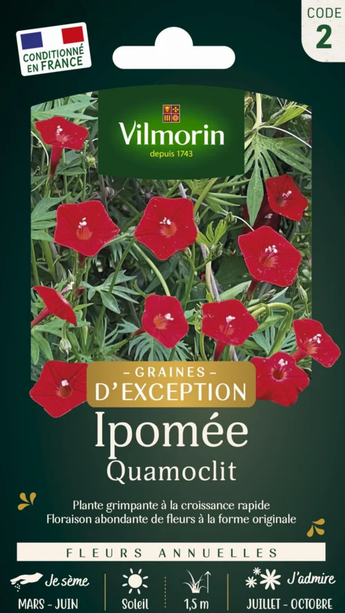 Graines de Ipomée Quamoclit Vilmorin graines d’exception - graines à semer