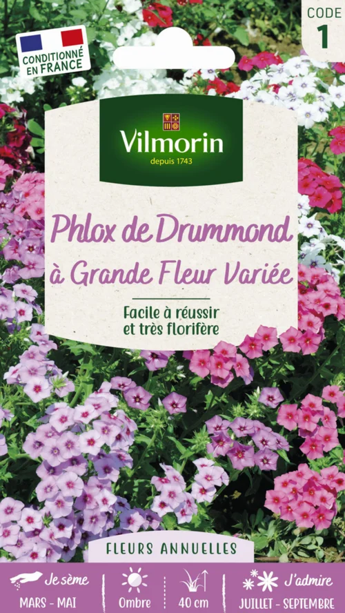 Graines de Phlox de Drummond à grande fleur variée Vilmorin - graines à semer