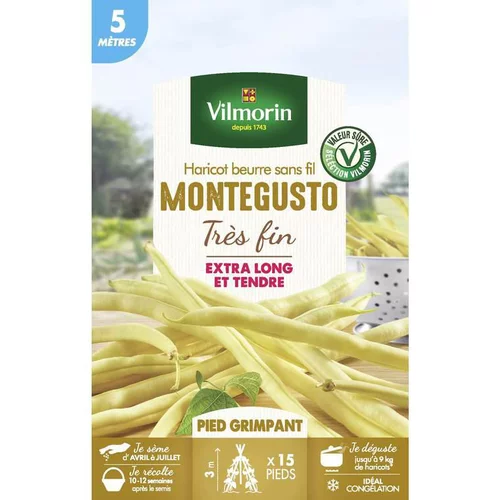 Graines de haricot beurre sans fil Montegusto très fin Vilmorin - graines à semer