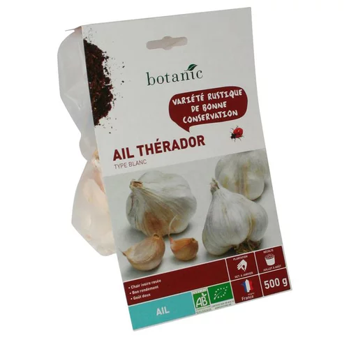 Bulbes d’ail blanc Therador AB bio 55+