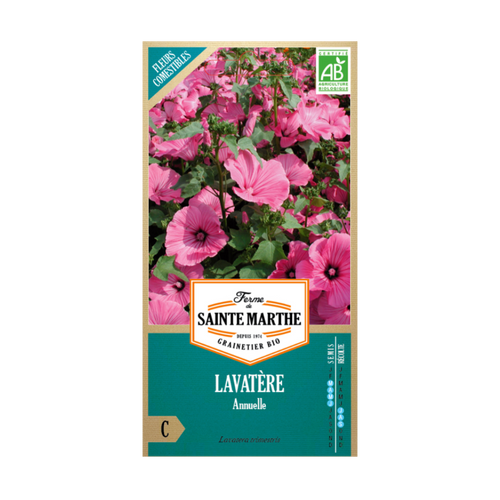 GRAINES LAVATÈRE ANNUEL BIO
