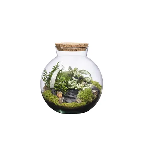 Terrarium autonome Havana Landscape botanic® - taille S