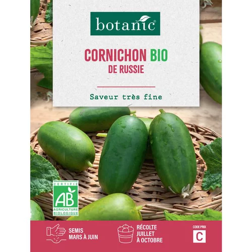 Graines de cornichon de Russie bio botanic® - graines à semer