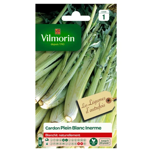 Cardon Plein Blanc Inerme Vilmorin - graines à semer