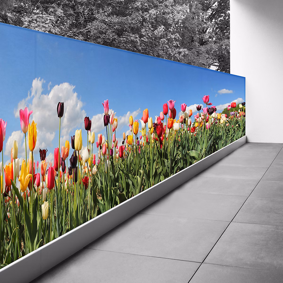 Brise vue Trompe l'oeil – 100 × 325 cm | Tulipes 3617689698588