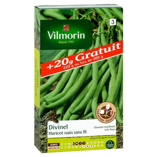 Graines de haricot nain divinel Vilmorin - graines à semer