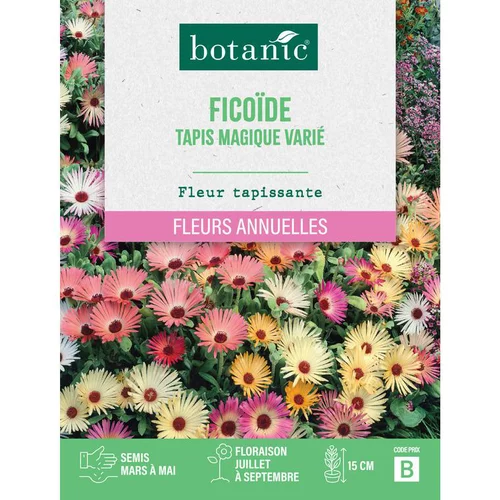 Graines de fleurs de Ficoïde tapis magique varié botanic®