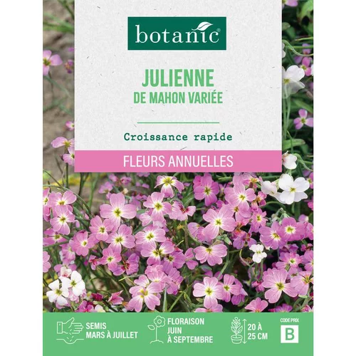 Graines de fleurs de Julienne de mahon variée botanic®