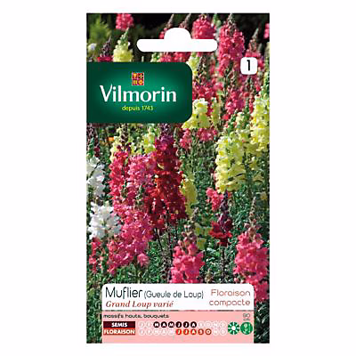 Graines de fleurs et bulbes – Graines de Muflier Grand Loup Varié (Gueule de Loup) Vilmorin