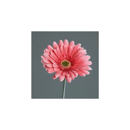 Fleur gerbera artificielle