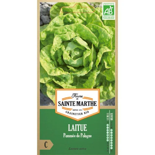 Graines de Laitue pommée de Pologne bio Ferme de Sainte Marthe - graines à semer